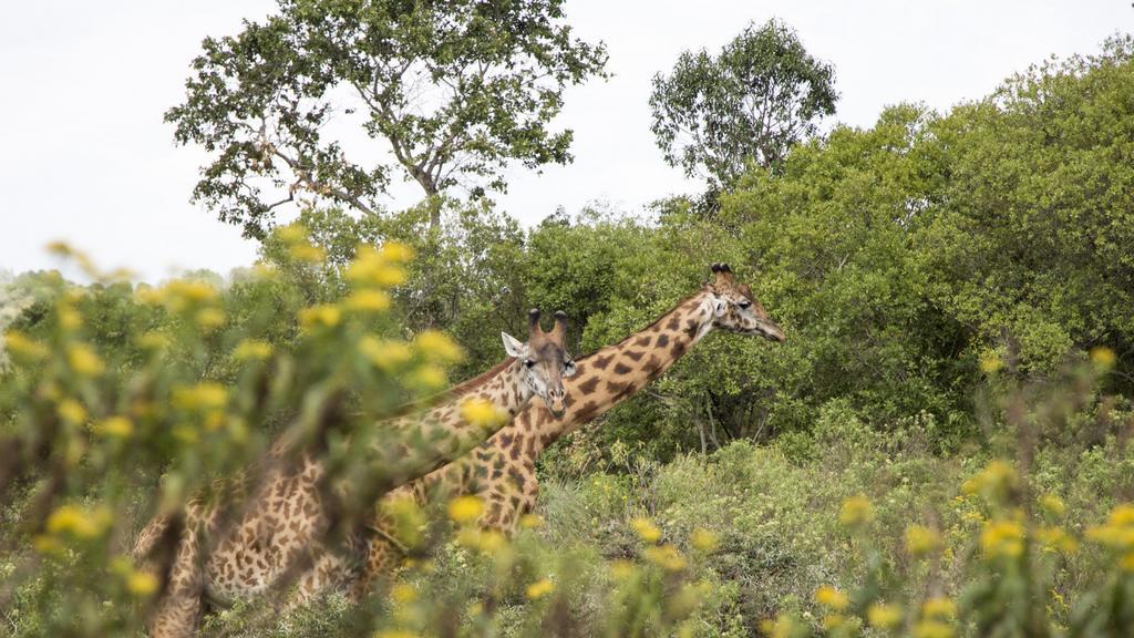Nature Homes - Africa Amini Life Nkoanrua Exterior foto