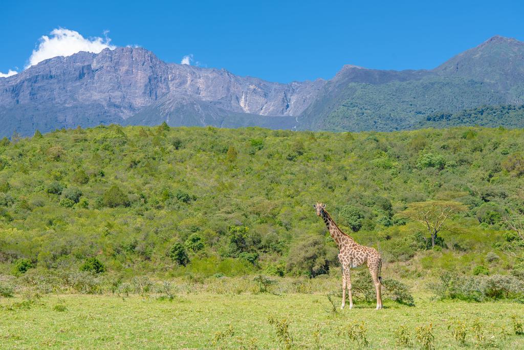 Nature Homes - Africa Amini Life Nkoanrua Exterior foto